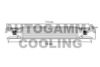 AUTOGAMMA 103991 Intercooler, charger